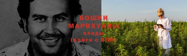 не бодяженный Снежногорск