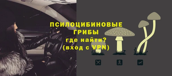 хмурый Слюдянка