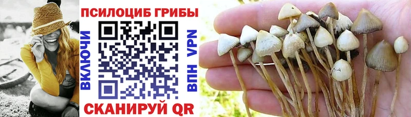 Купить где  Тулун  Галлюциногенные грибы прущие грибы 