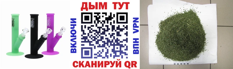 Марихуана сатива  Купить где  Тулун 